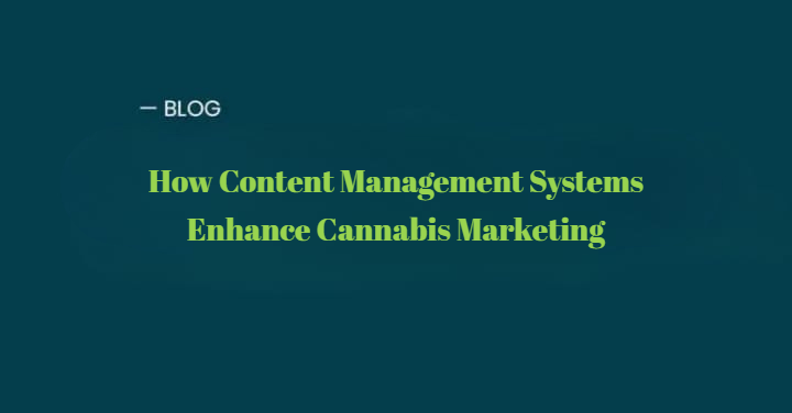 Discover how content management systems (CMS) empower cannabis brands to streamline content, boost SEO, maintain compliance, and grow engagement in today’s competitive market.